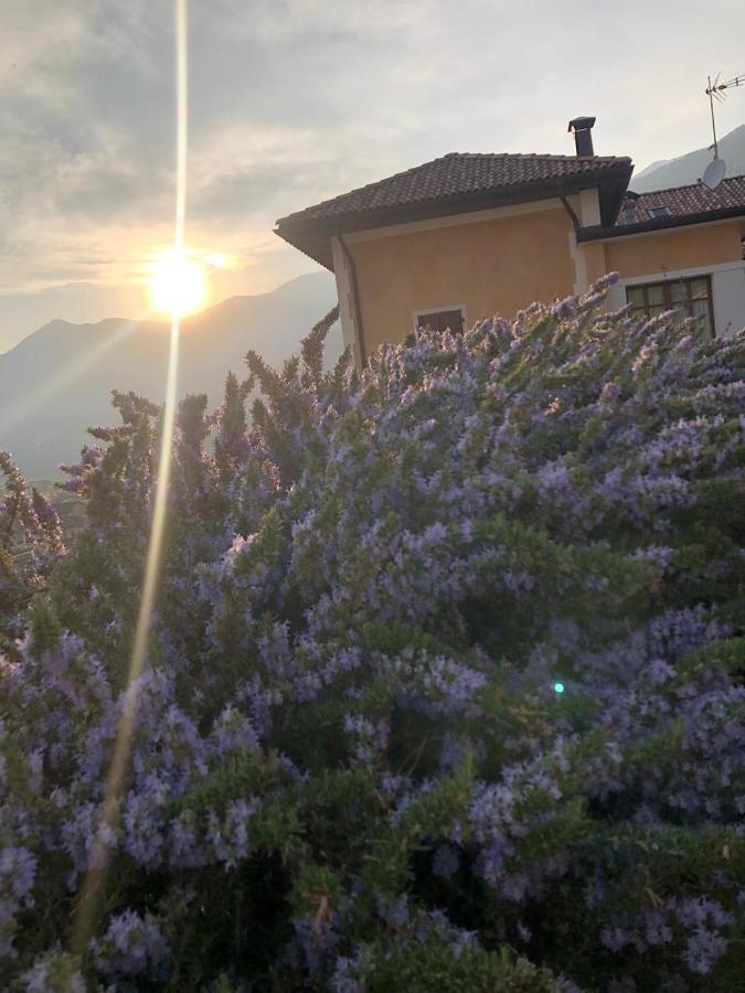 La Villa Degli Orti Borgo Valsugana Экстерьер фото